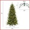 Casafield Pre-Lit Slim Aspen Fir Christmas Tree with White & Multicolored LED Lights, Realistic Artificial Noble Fir with Metal Stand